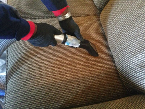 Technician using extraction tool for carpet cleaning or water removal